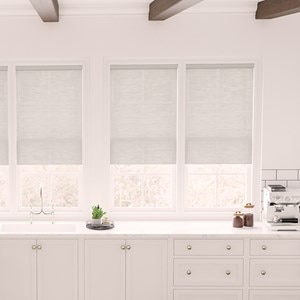 Trademark 1 Inch Mini Blinds